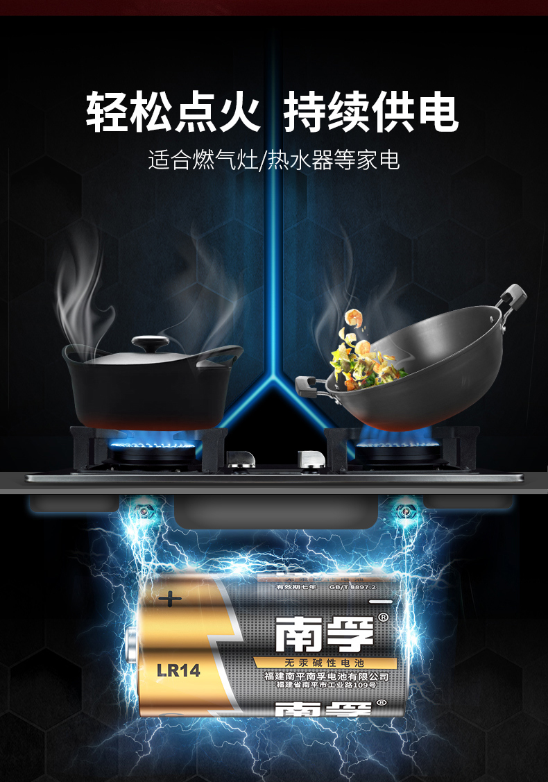 南孚LR14-2B 2號(hào)電池2pcs *12